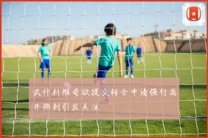 武什科维奇欲提交转会申请强行离开热刺引发关注